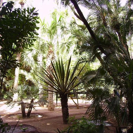 מרקש Appart Avec Vue Jardin/Majorelle מראה חיצוני תמונה