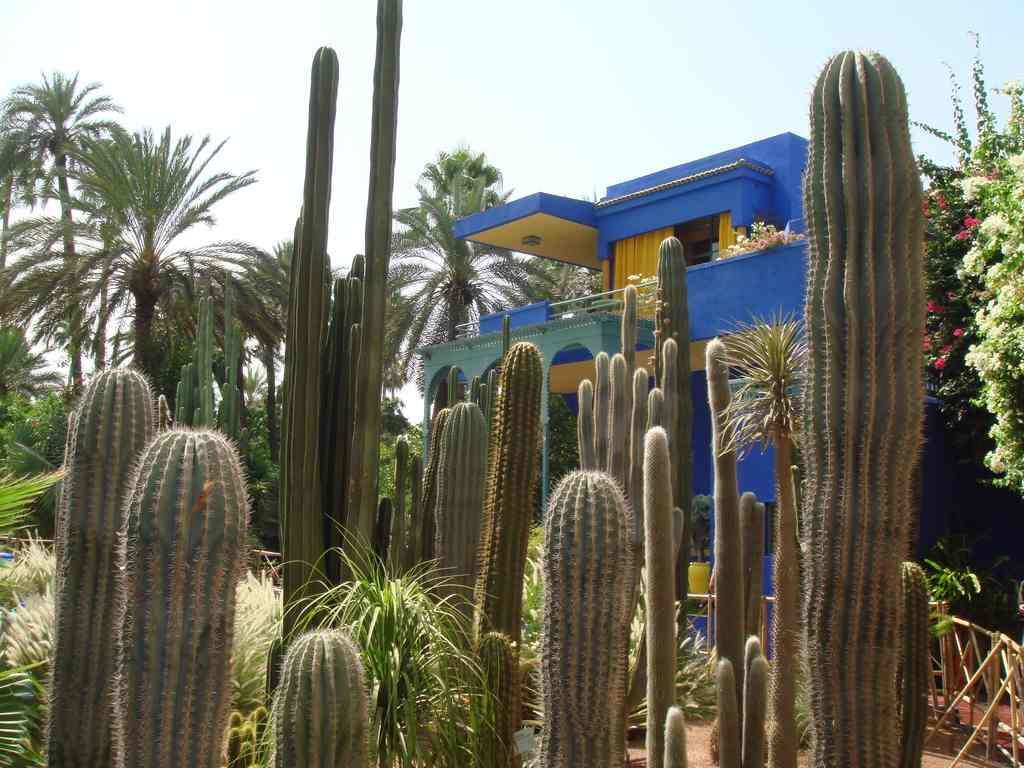 מרקש Appart Avec Vue Jardin/Majorelle מראה חיצוני תמונה