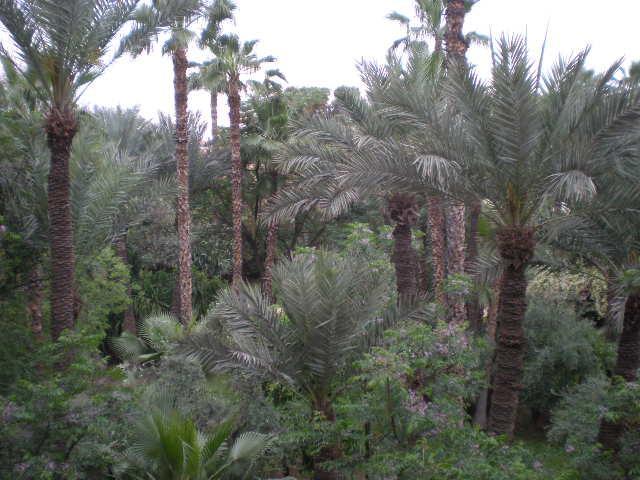 מרקש Appart Avec Vue Jardin/Majorelle מראה חיצוני תמונה