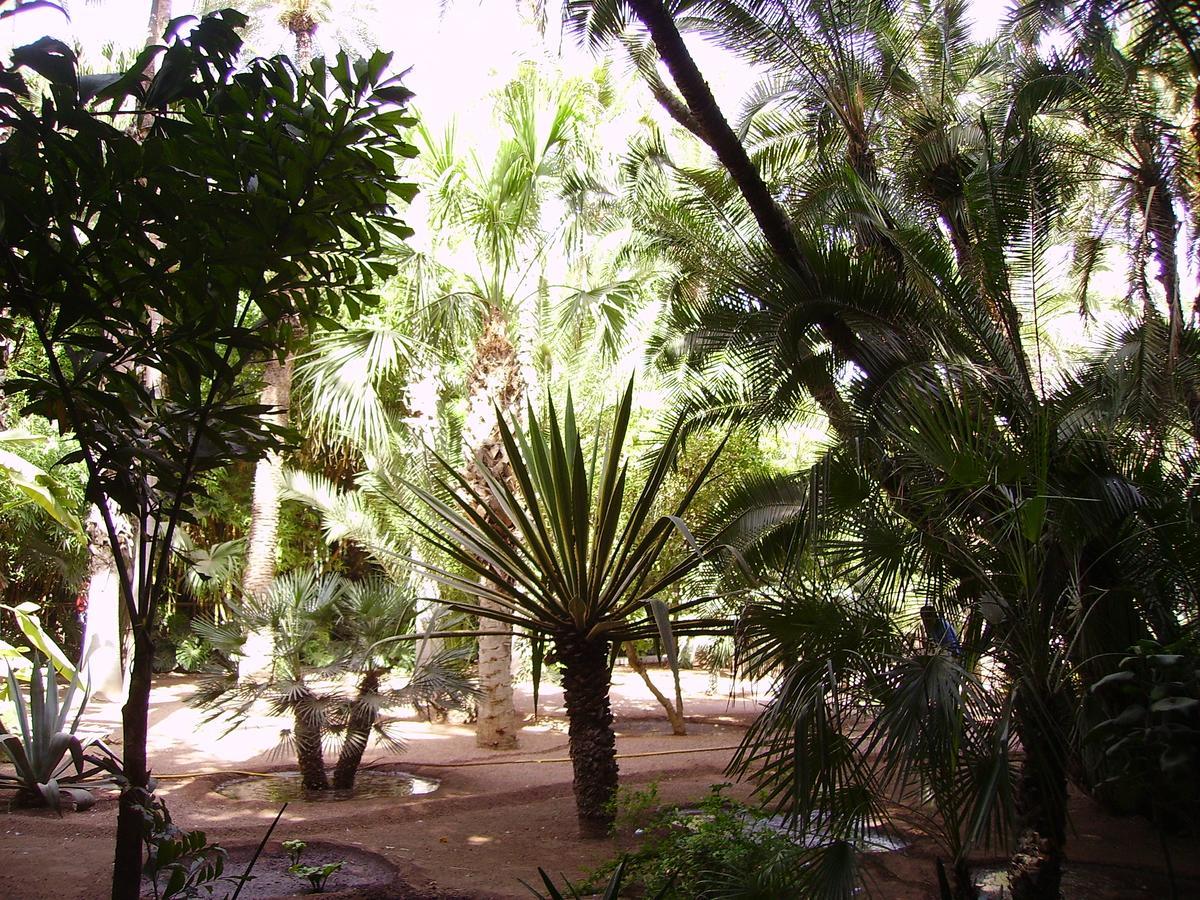 מרקש Appart Avec Vue Jardin/Majorelle מראה חיצוני תמונה